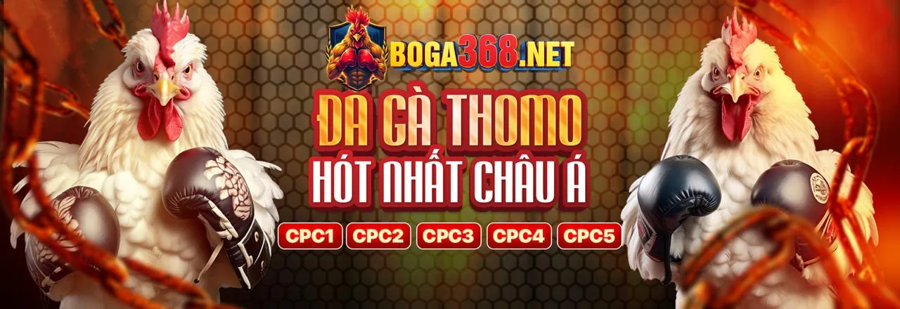 Đá Gà Trực Tuyến i888